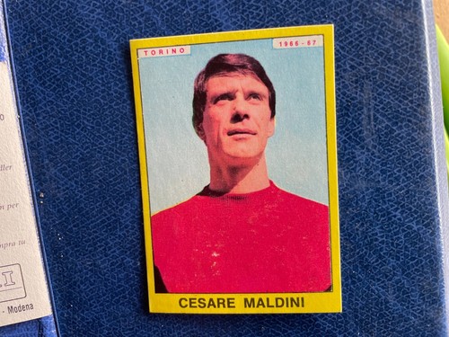 Panini calciatori 1966 - panini,