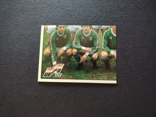 Panini euro 1988 eire 182 - euro,