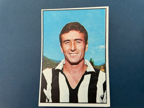 Panini calciatori 1965 - panini,